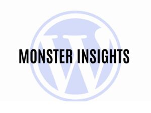 Wtyczka MonsterInsights Custom Dimensions Addon
