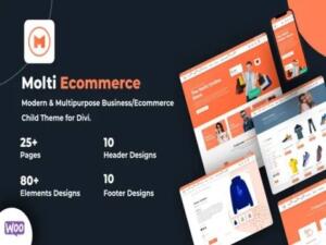 Szablon Molti Ecommerce Elegant Themes
