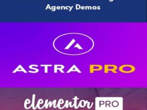 Wtyczka Astra Pro + Elementor Pro + Ponad 200 Demo + Astra Premium Sites