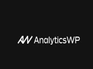 Wtyczka AnalyticsWP WordPress Analytics Plugin