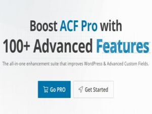 Wtyczka ACF Extended Pro