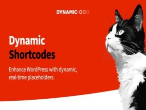 Wtyczka Dynamic.ooo Dynamic Shortcodes
