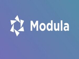 Modula Pro Plugin