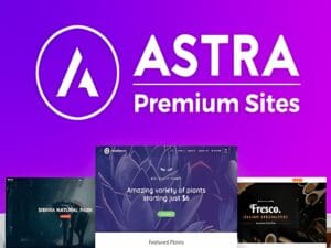 Wtyczka Astra Premium Sites ponad 170 demo by Brainstorm Force