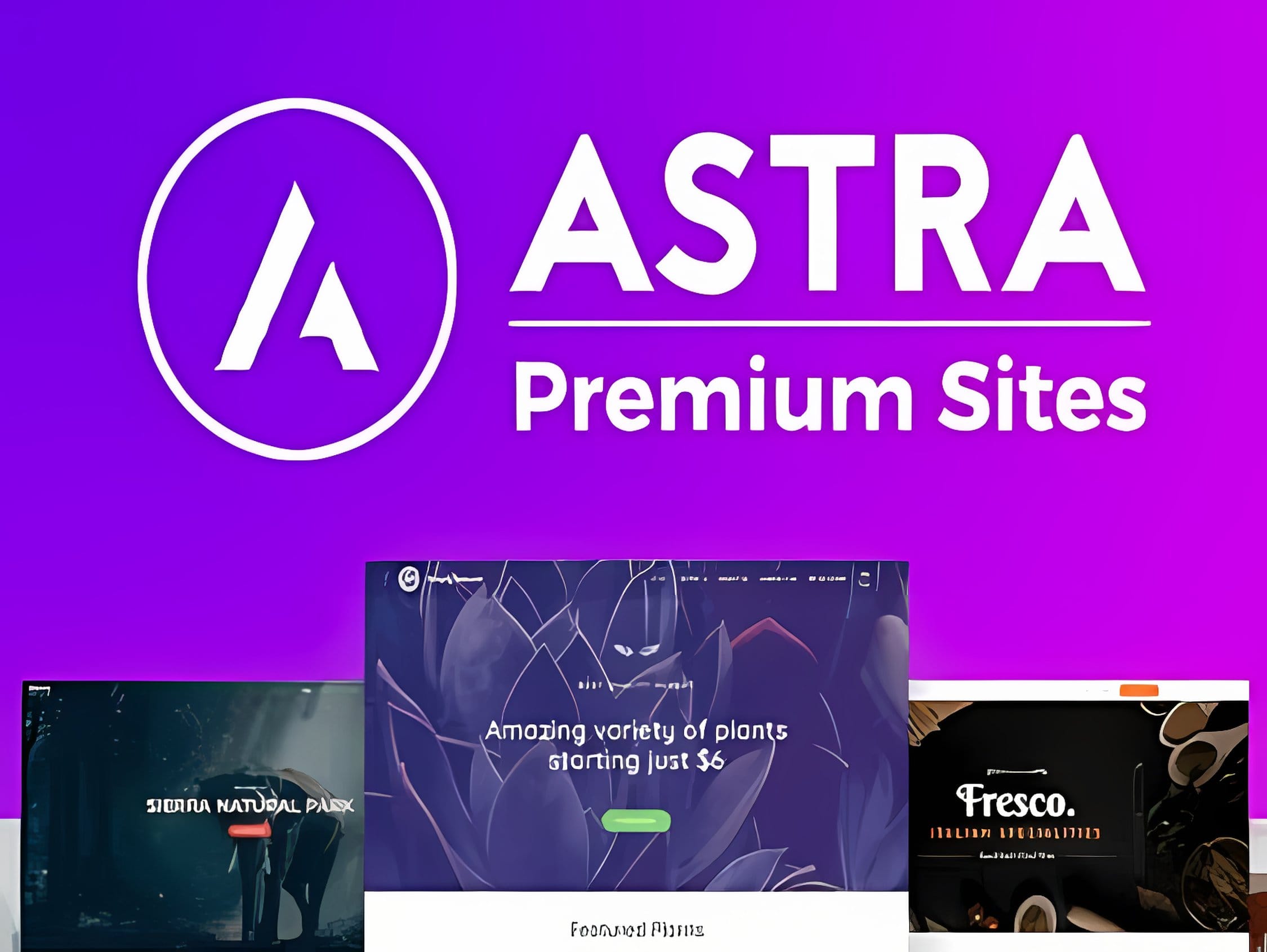 Wtyczka Astra Premium Sites ponad 170 demo by Brainstorm Force Wtyczka Astra Premium Sites ponad 170 demo by Brainstorm Force