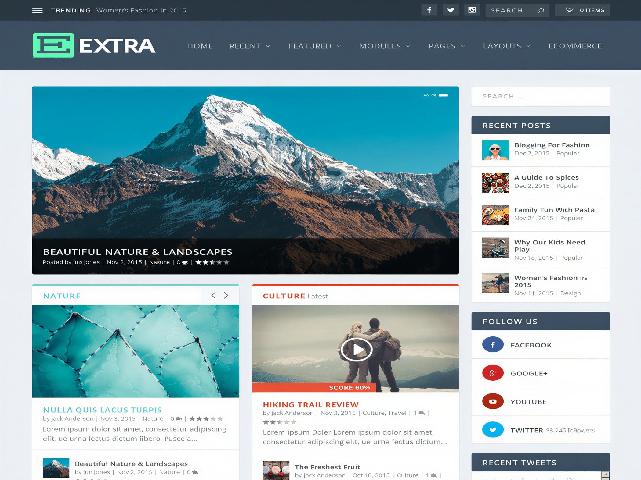 Szablon Extra Elegant Themes