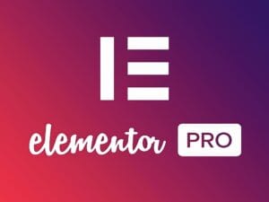 Wtyczka Elementor Pro WordPress
