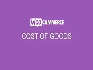 Wtyczka WooCommerce Cost Of Goods