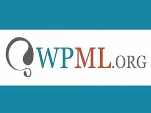 Wtyczka WPML String Translation