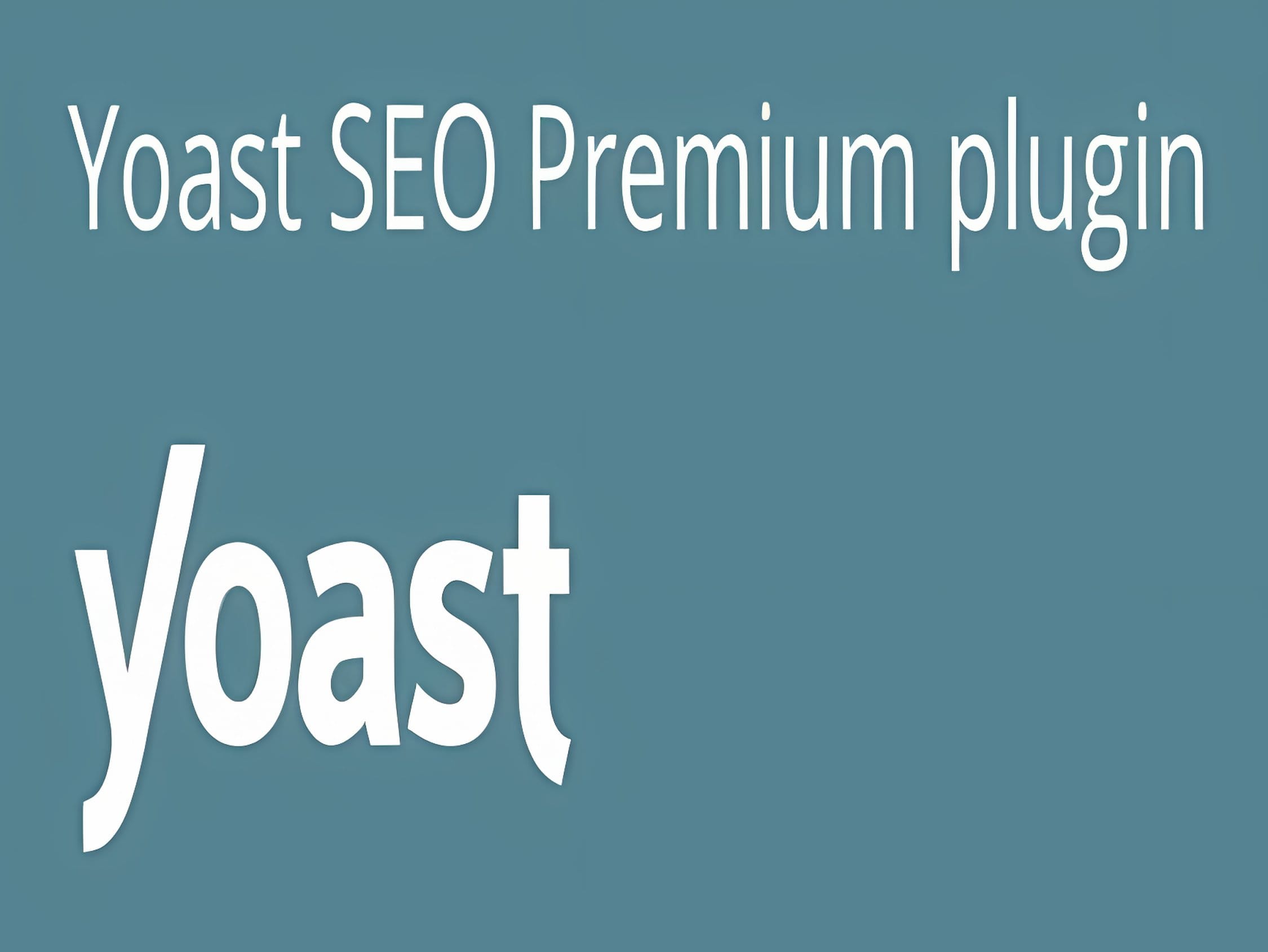 Wtyczka Yoast SEO Premium Wtyczka Yoast SEO Premium