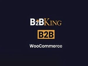 Wtyczka B2BKing Ultimate WooCommerce B2B Wholesale