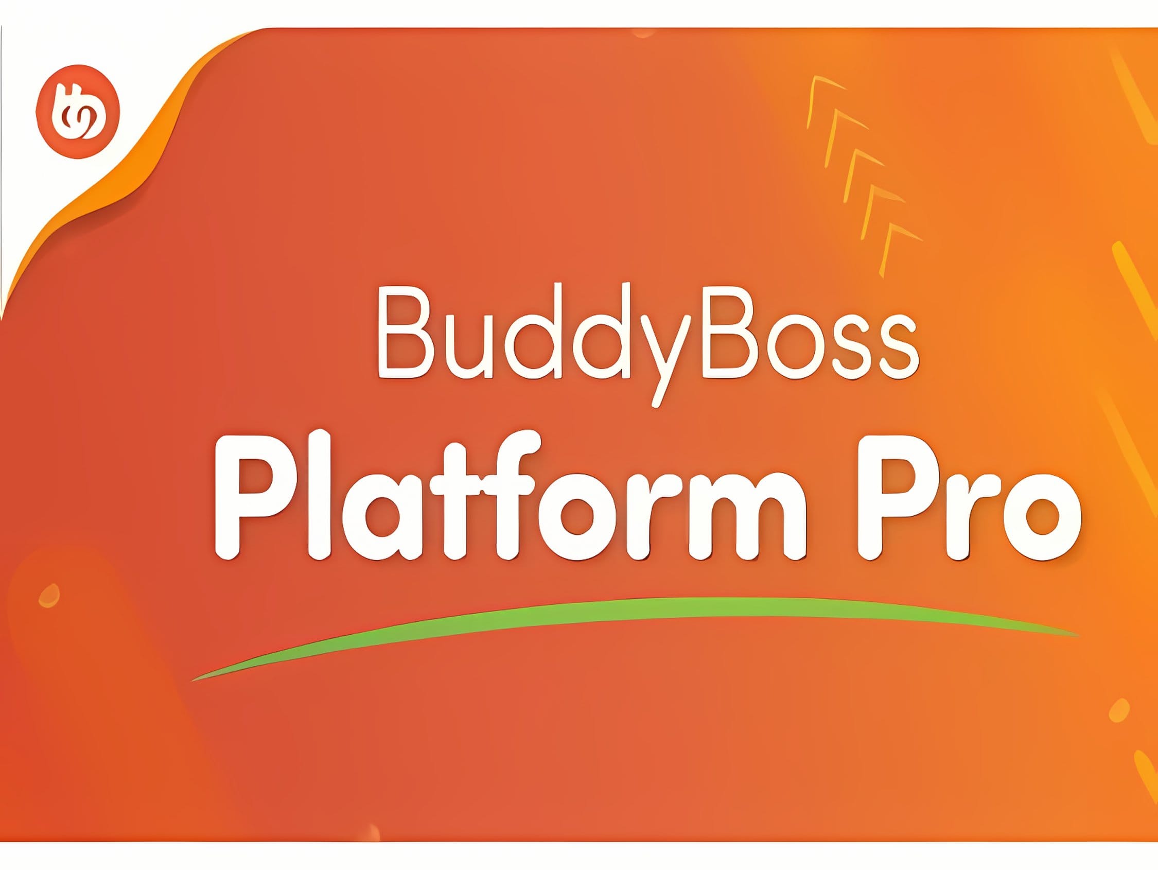 Wtyczka BuddyBoss Platform Pro + Szablon