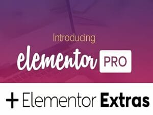 Pakiet Wtyczka Elementor Pro WordPress + Wtyczka Extras !