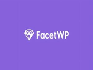 Wtyczka FacetWP Conditional Logic Addon