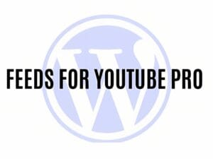 Wtyczka Feeds for YouTube Pro
