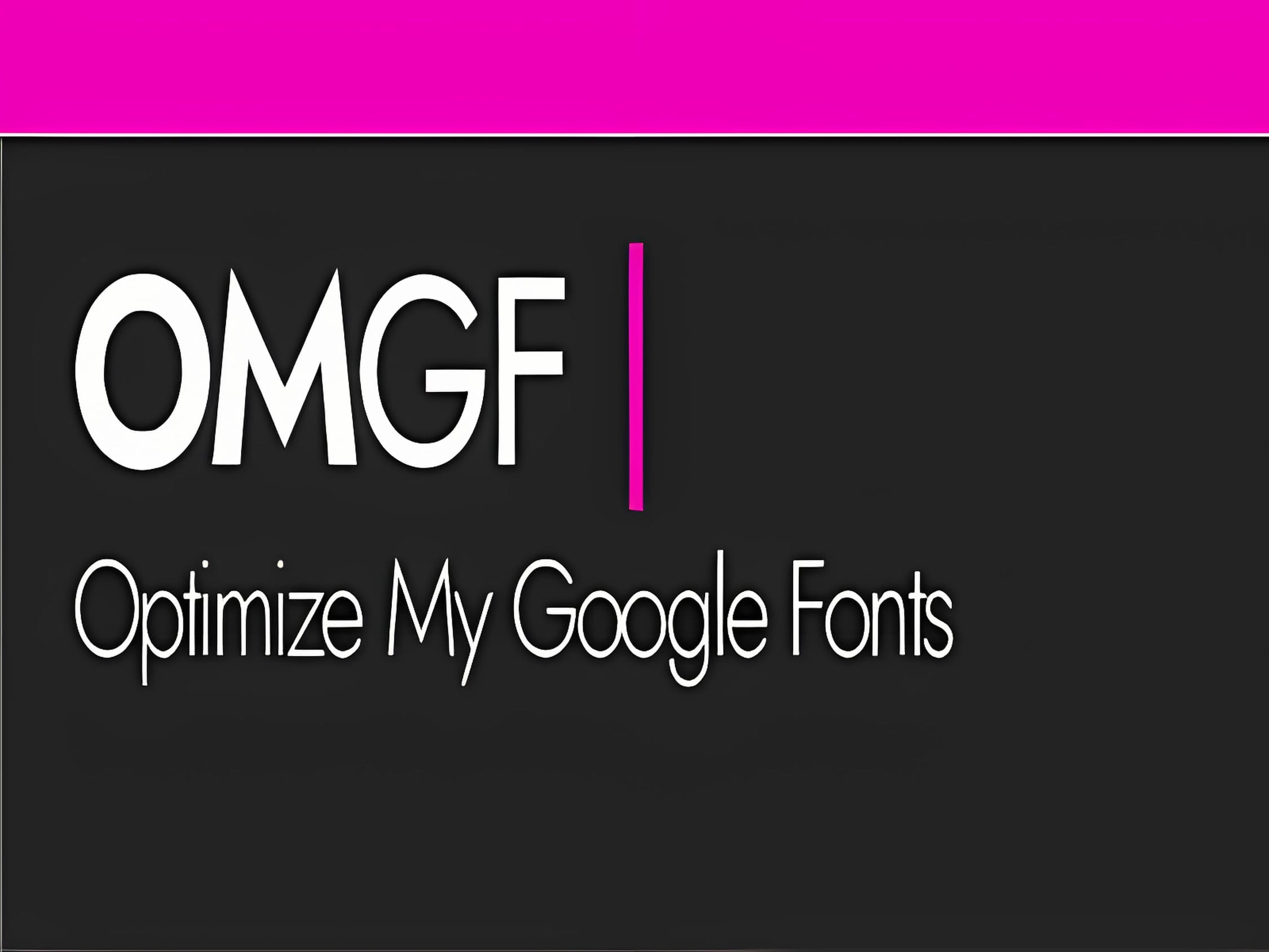 Wtyczka OMGF Pro Host Google Fonts Locally for WordPress