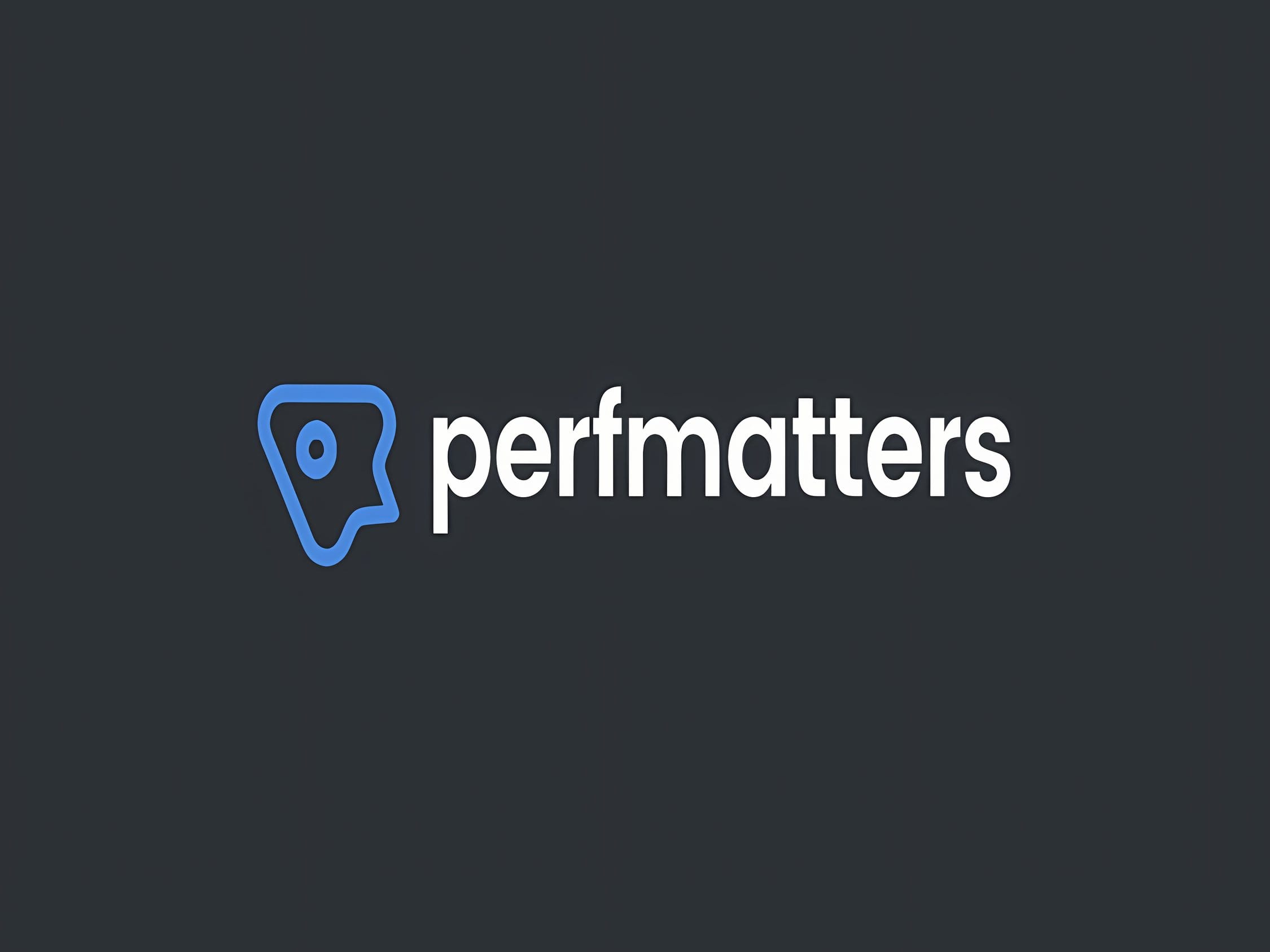 Wtyczka Perfmatters – Lightweight WordPress Performance Plugin Wtyczka Perfmatters – Lightweight WordPress Performance Plugin