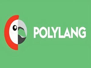 Wtyczka Polylang for WooCommerce