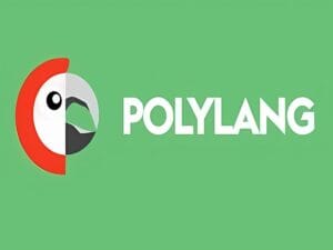 Wtyczka Polylang Pro