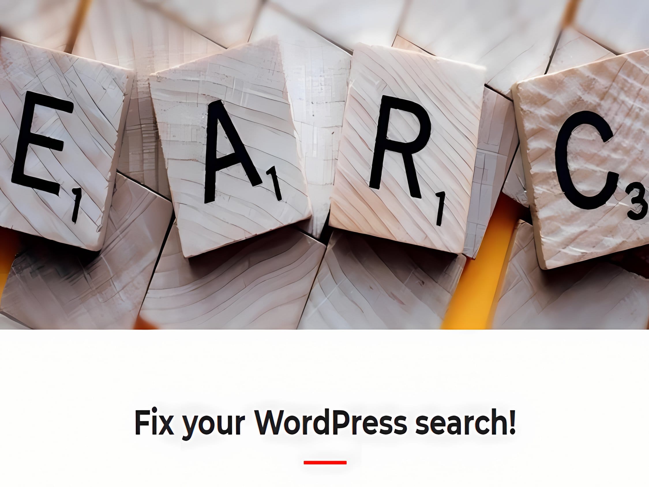 Wtyczka Relevanssi Premium – The WordPress Search Plugin