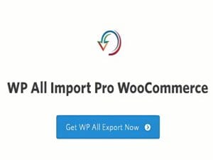 Wtyczka Soflyy WP All Import Pro Woocommerce Addon