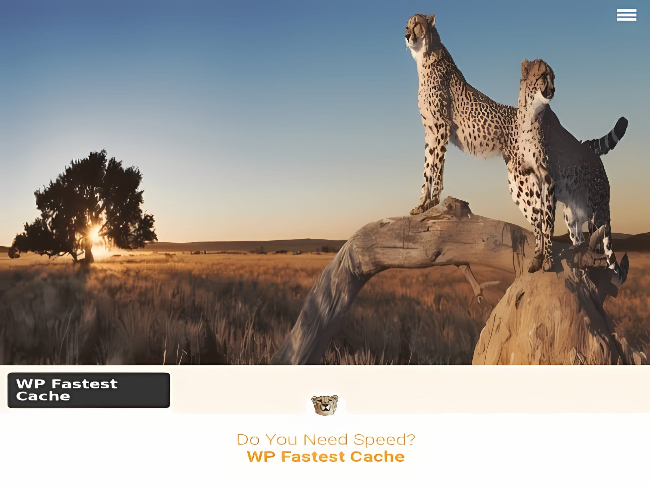Wtyczka WP Fastest Cache Premium Wtyczka WP Fastest Cache Premium