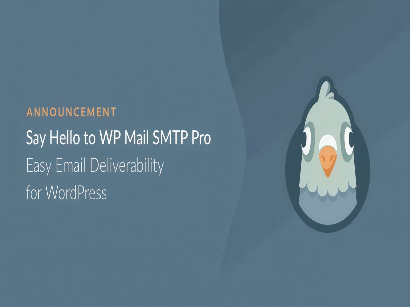 Wtyczka WP Mail SMTP Pro
