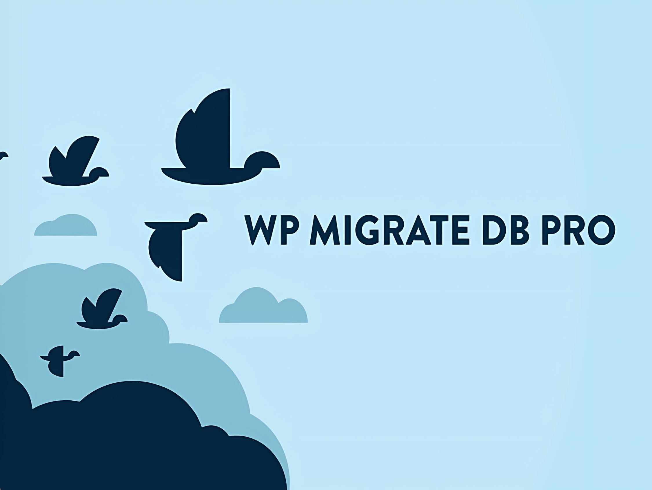 Wtyczka WP Migrate DB Pro + Addons Wtyczka WP Migrate DB Pro + Addons