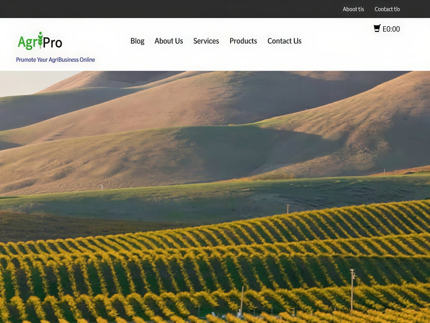 Szablon CyberChimps Agripro WordPress Theme