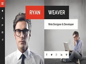 Szablon Divergent Personal Vcard Resume WordPress Theme