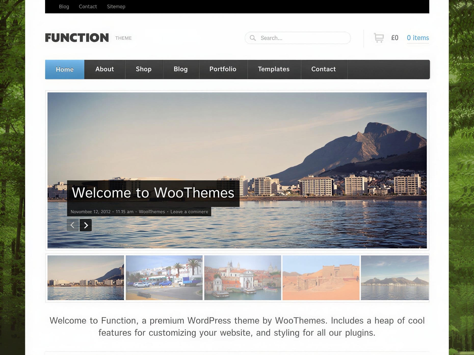 Szablon WooThemes Function WooCommerce Themes