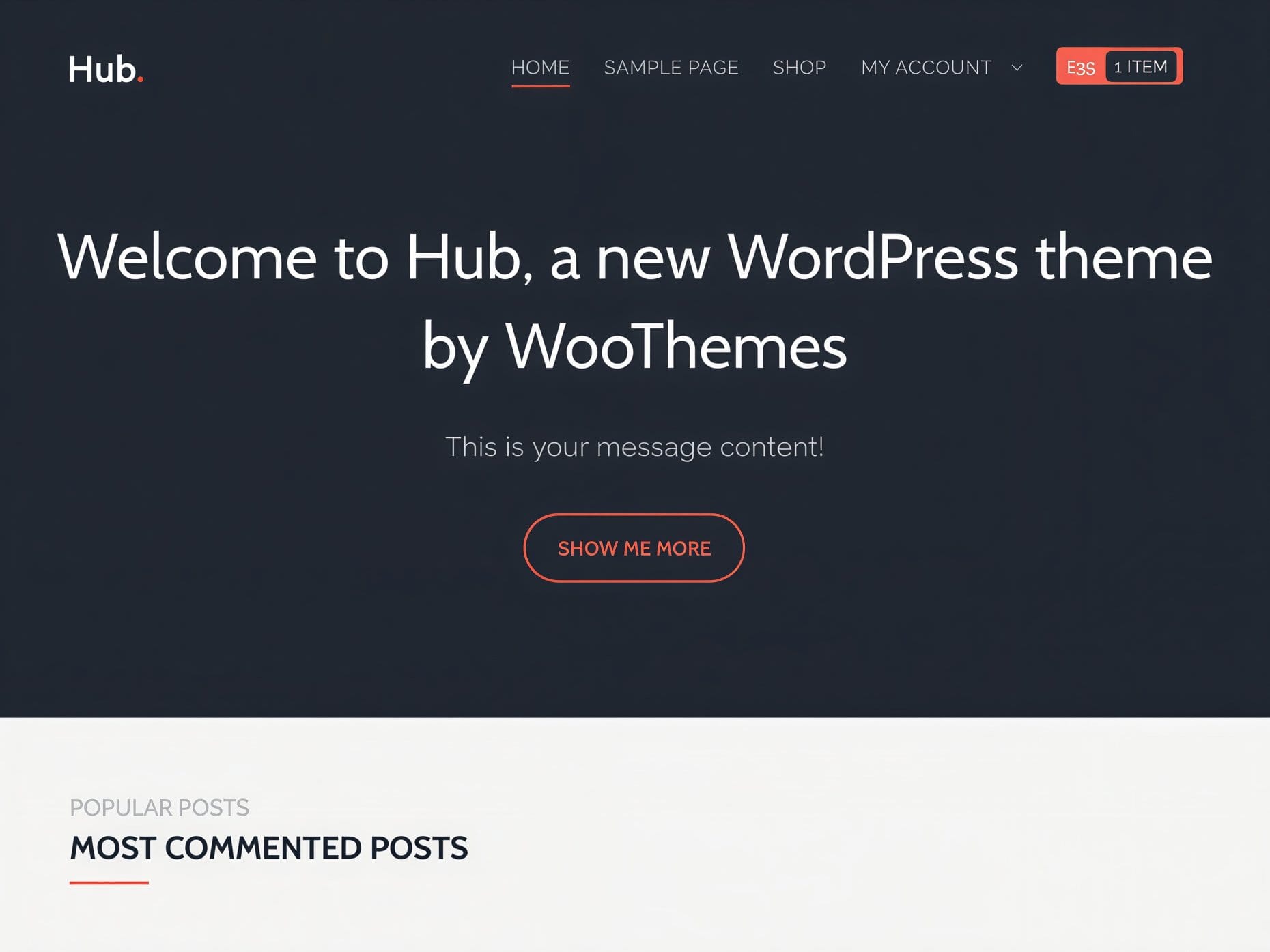 Szablon WooThemes Hub WooCommerce Themes