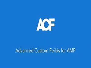 Wtyczka ACF For Amp