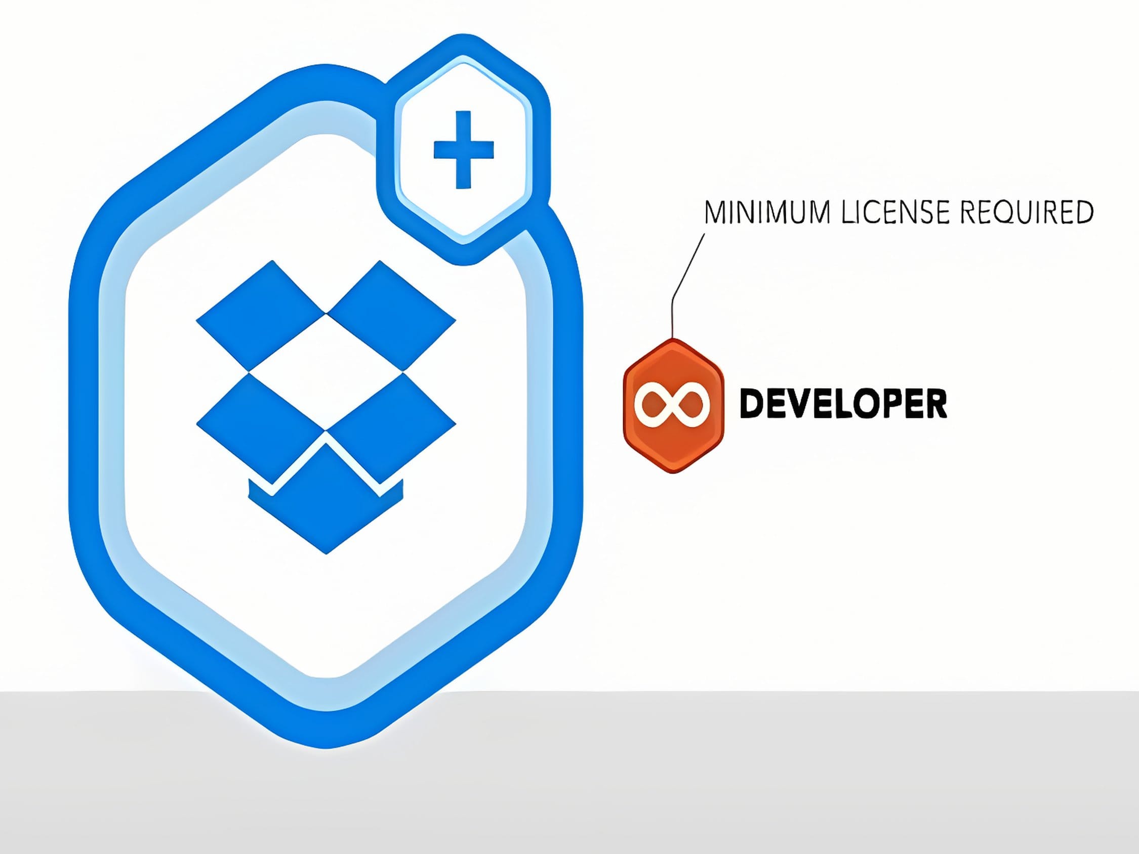 Wtyczka Rocketgenius Gravity Forms Dropbox Addon