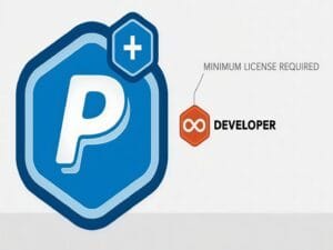 Wtyczka Rocketgenius Gravity Forms PayPal Payments Standard Addon