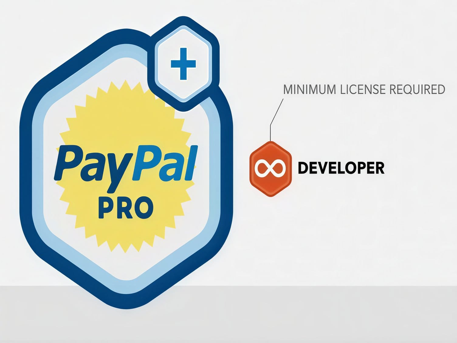 Wtyczka Rocketgenius Gravity Forms PayPal Pro Addon Wtyczka Rocketgenius Gravity Forms PayPal Pro Addon