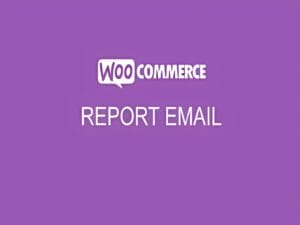 Wtyczka WooCommerce Sales Report Email