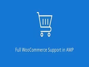 Wtyczka Amp WooCommerce Pro