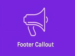Wtyczka OceanWP Footer Callout Addon