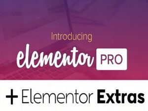 Pakiet Wtyczka Elementor Pro WordPress + Wtyczka Extras !