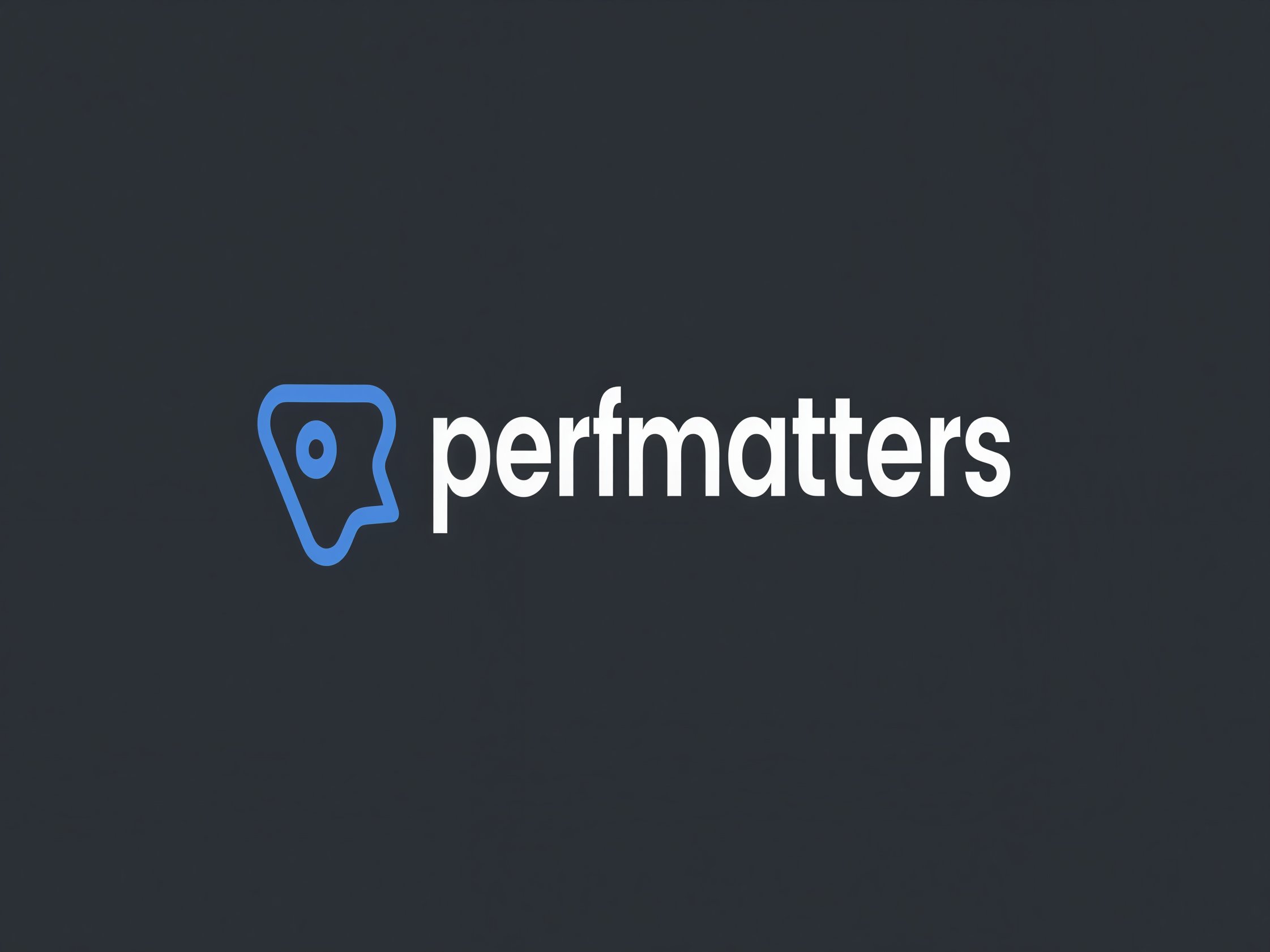 Wtyczka Perfmatters – Lightweight WordPress Performance Plugin