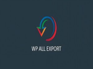 Wtyczka Soflyy WP All Export Pro WooCommerce Addon