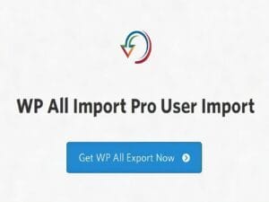 Wtyczka Soflyy WP All Import Pro User Import Addon
