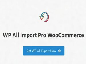 Wtyczka Soflyy WP All Import Pro WooCommerce Addon