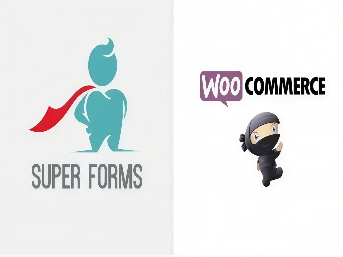 Wtyczka Super Forms – WooCommerce Checkout Add-On