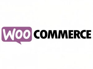 Wtyczka WooCommerce Deposits & Partial Payments