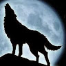 Patryk Wolf